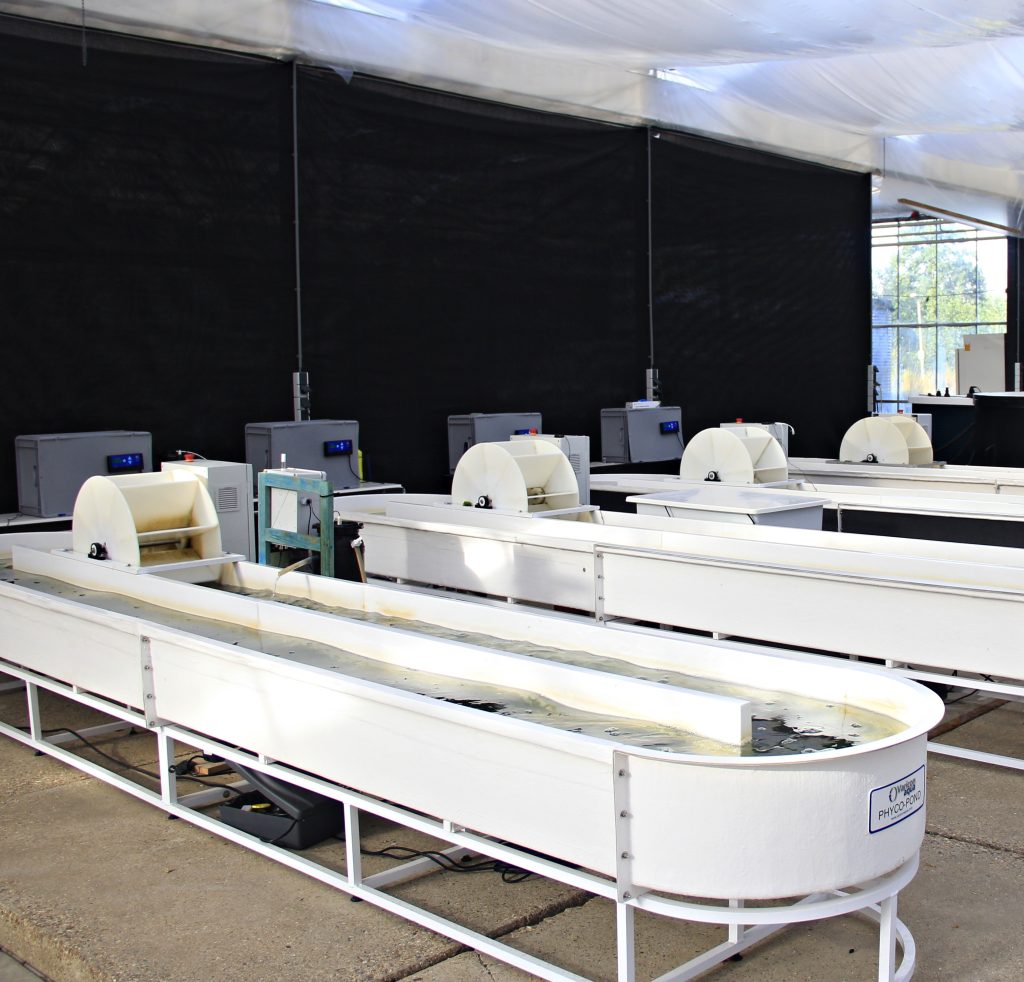 Prototype raceway system for controlled land-based seaweed cultivation